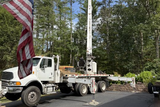 ellington tree removal